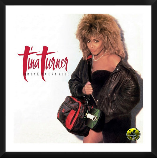 Tina Turner Break Every Rule  Framed Artwork 16x16