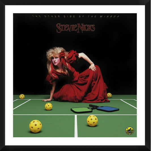 Stevie Nicks - The Other Side of The Mirror Framed Artwork 16x16