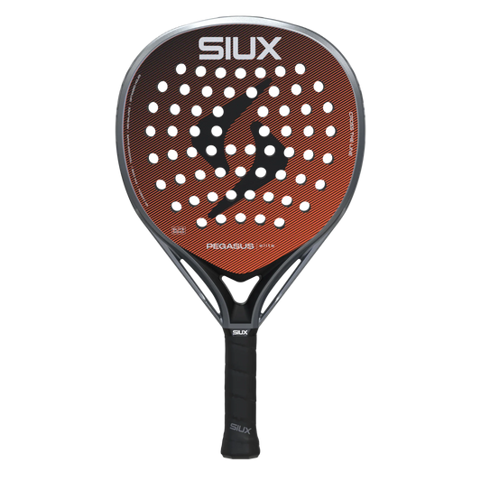 Siux Pegasus Elite 4 2026
