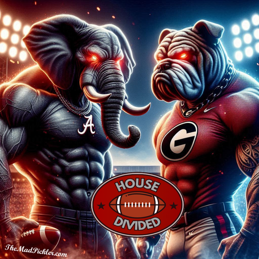 Alabama/Georgia -  House Divided Series -Ready To Hang  Canvas Hi-Res Wall Artwork